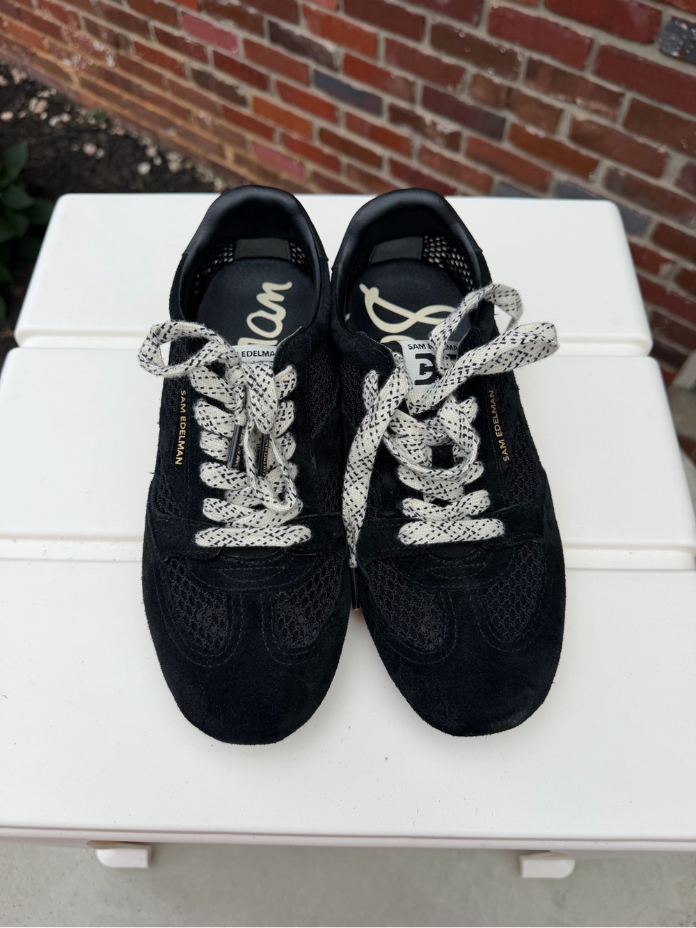 Sam Edelman TOBI LACE UP SNEAKER Black with Patterned Laces